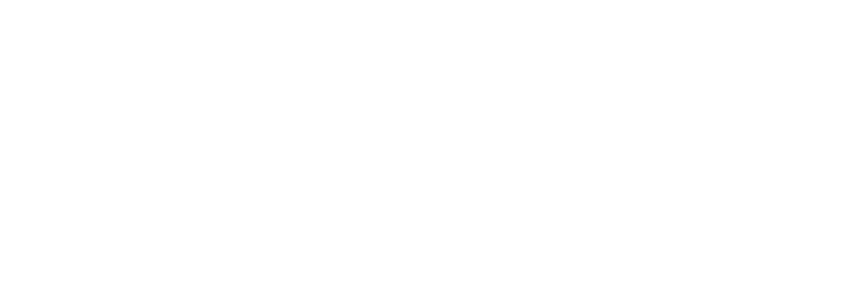 Simplizzia